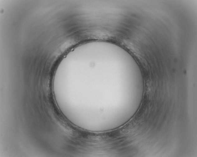 X0000089420679200707061319