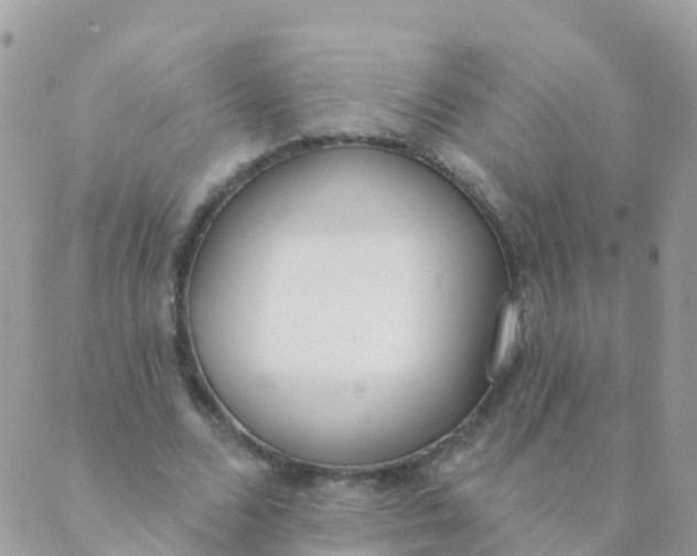 X0000089420680200707061319