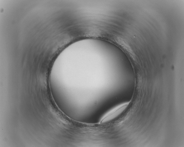 X0000089420681200707061319