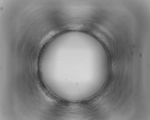 X0000089420682200707061319