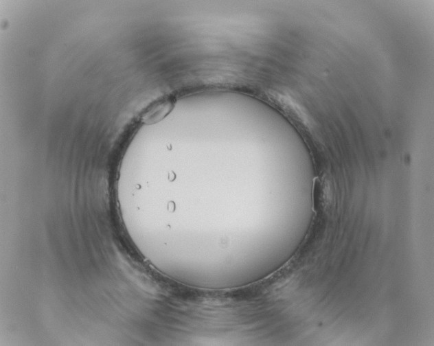 X0000089420684200707061319