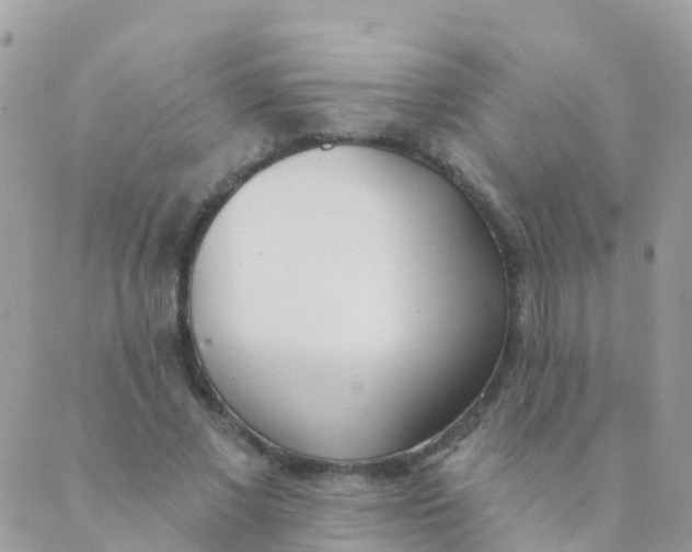 X0000089420685200707061319