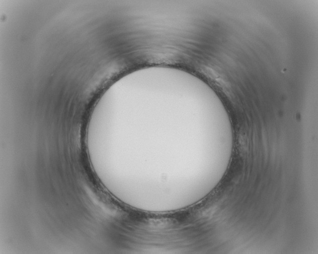 X0000089420686200707061319