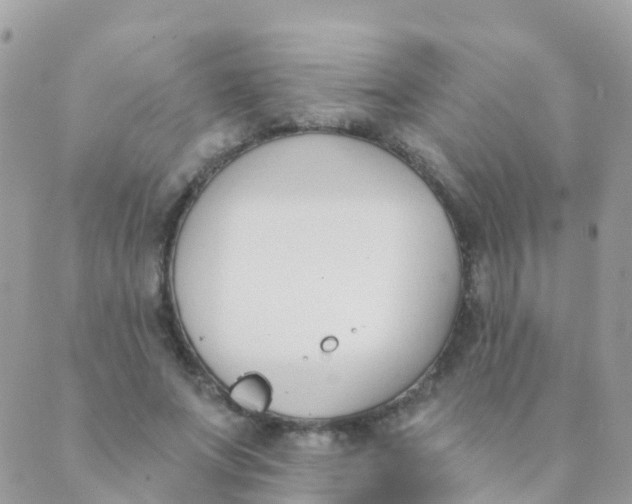 X0000089420687200707061319