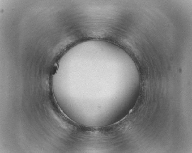 X0000089420688200707061319