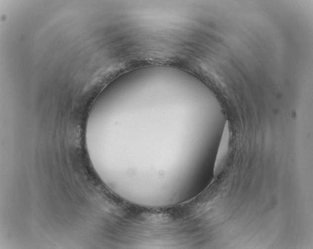 X0000089420689200707061319