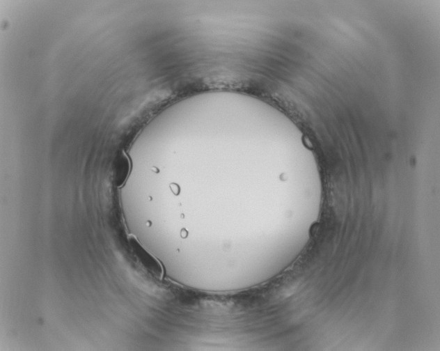 X0000089420690200707061319