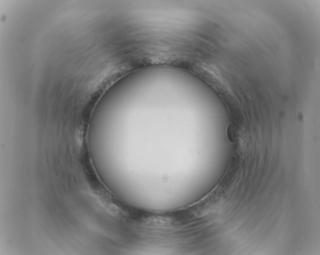 X0000089420691200707061319