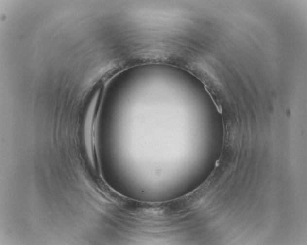 X0000089420692200707061319