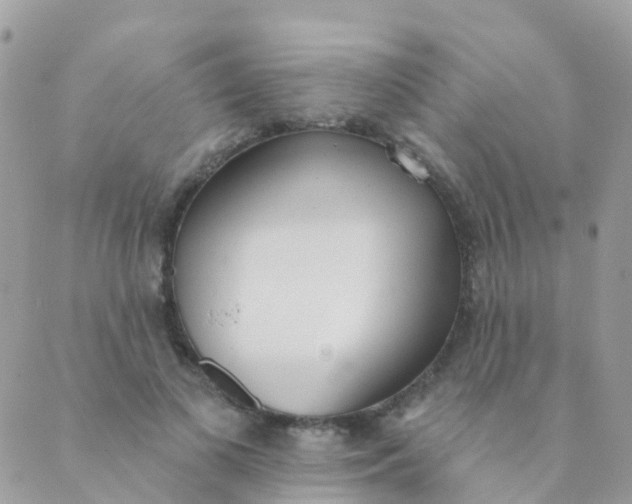 X0000089420693200707061319