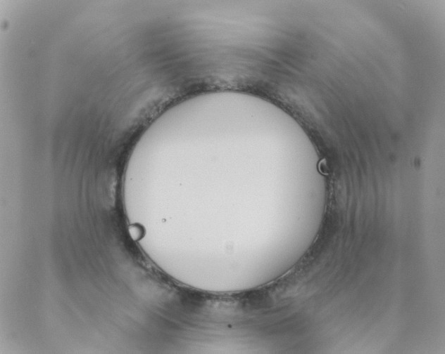 X0000089420694200707061319