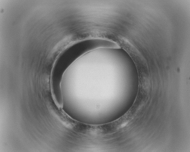 X0000089420696200707061319