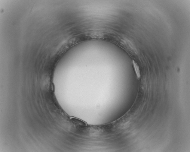 X0000089420697200707061319