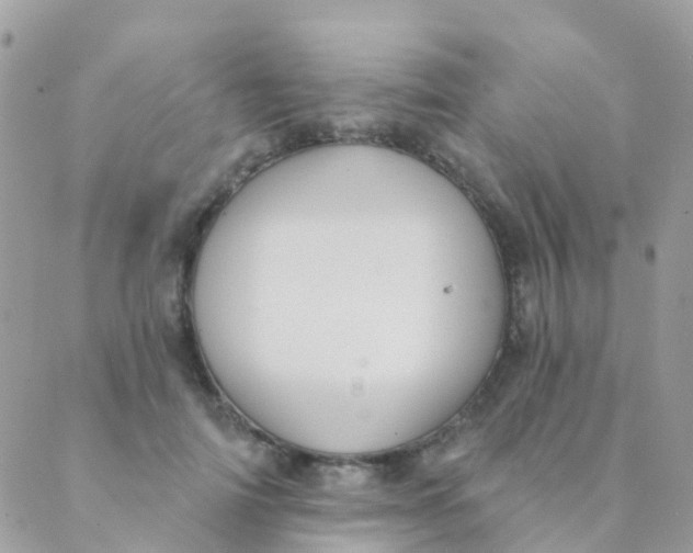 X0000089420698200707061319