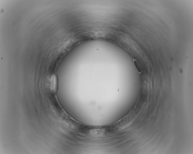 X0000089420700200707061319