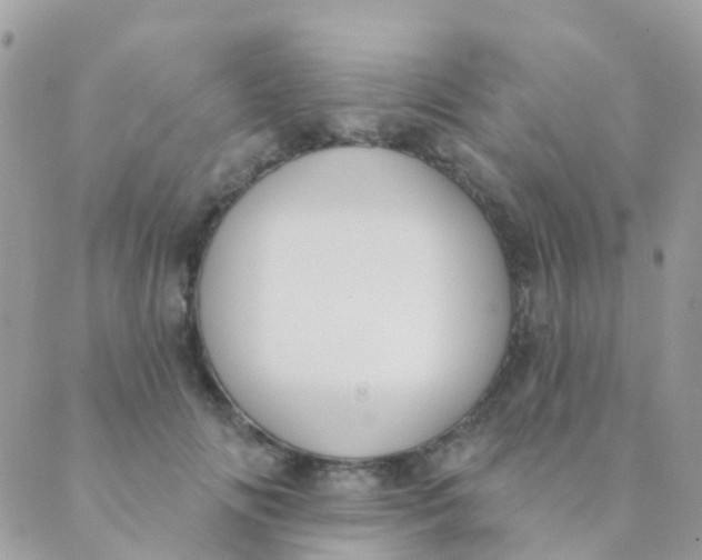 X0000089420702200707061319