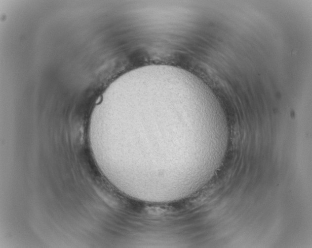 X0000089420703200707061319