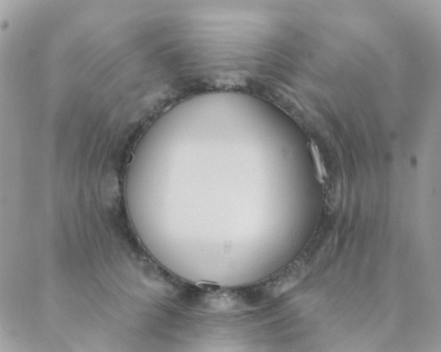 X0000089420704200707061319