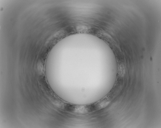 X0000089420705200707061319