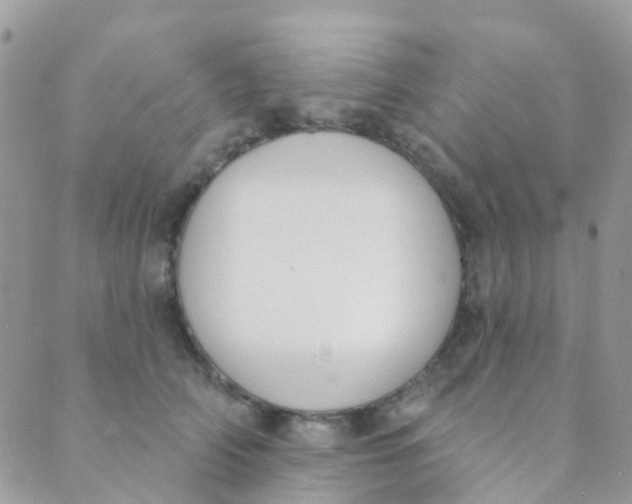 X0000089420706200707061319