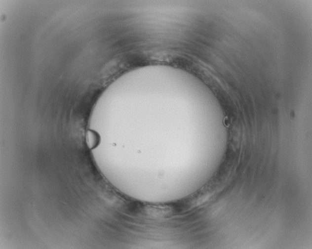 X0000089420707200707061319