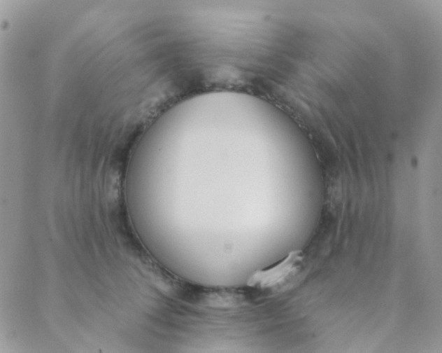 X0000089420708200707061319