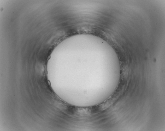 X0000089420709200707061319