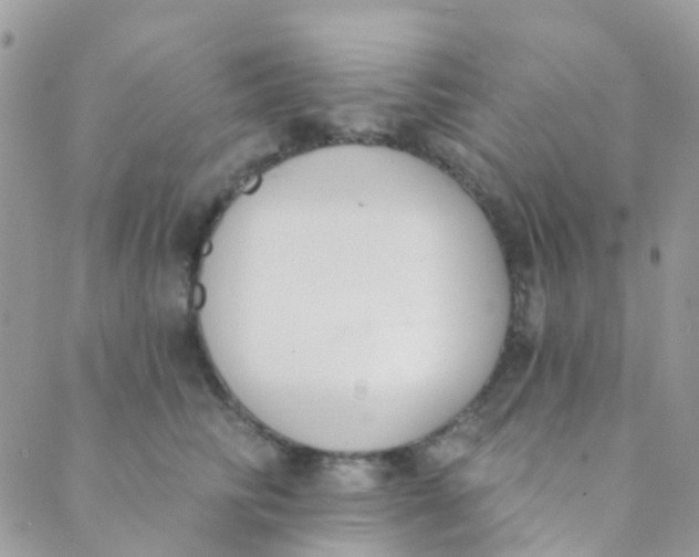 X0000089420710200707061319