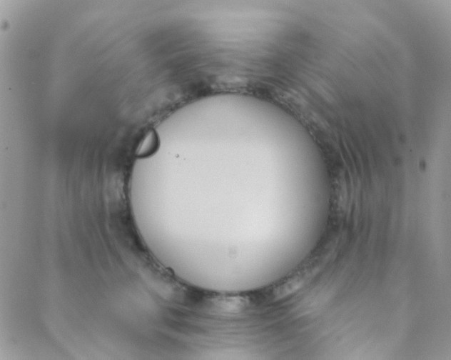 X0000089420711200707061319