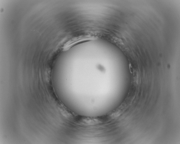 X0000089420712200707061319