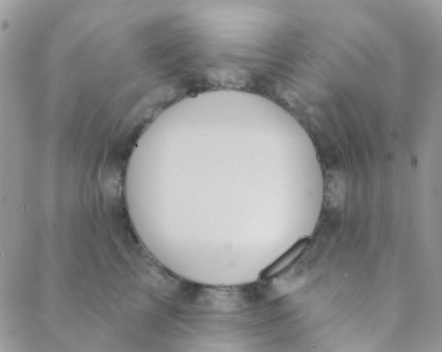 X0000089420713200707061319