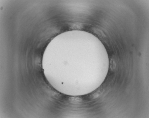 X0000089420714200707061319