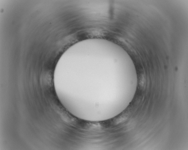 X0000089420715200707061319