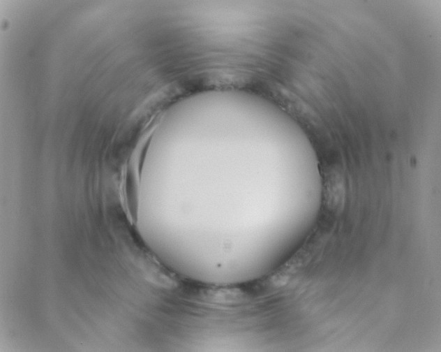 X0000089420716200707061319