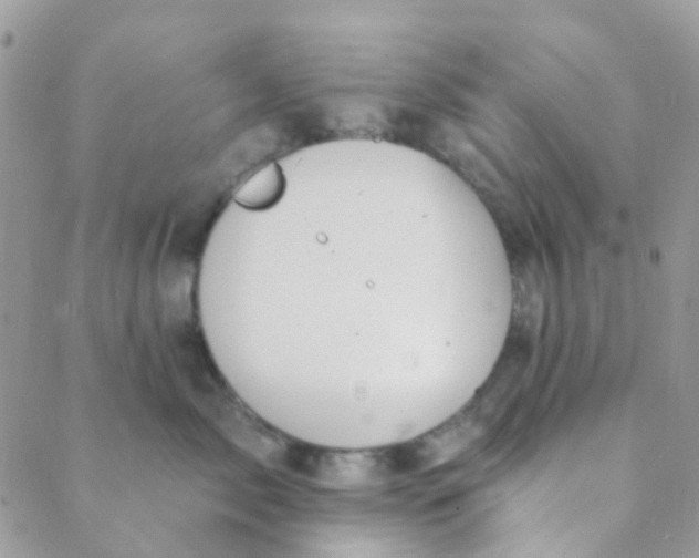 X0000089420717200707061319