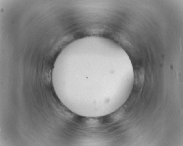 X0000089420718200707061319