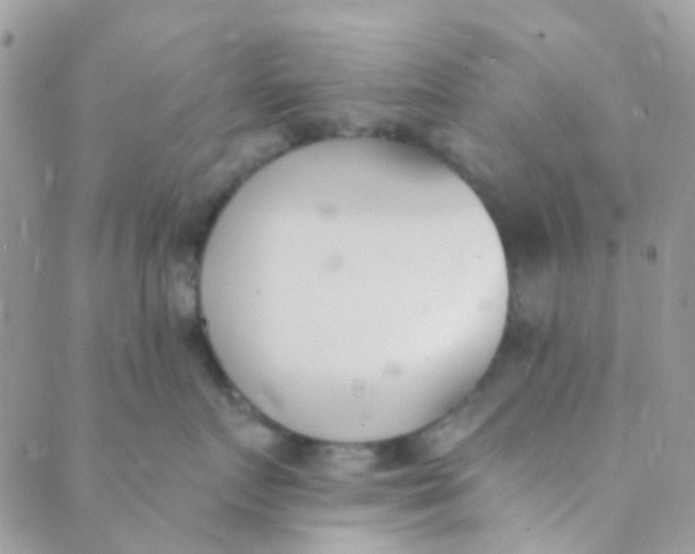 X0000089420719200707061319