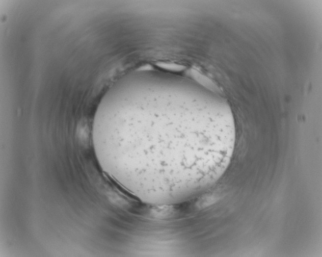 X0000089420720200707061319