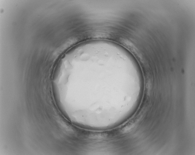 X0000089420721200707061318