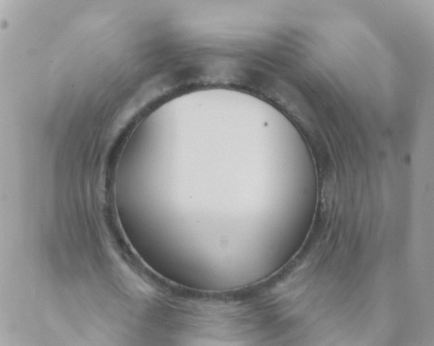 X0000089420722200707061318