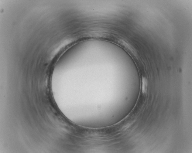 X0000089420723200707061318