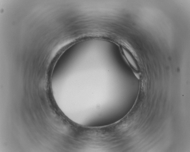 X0000089420724200707061318