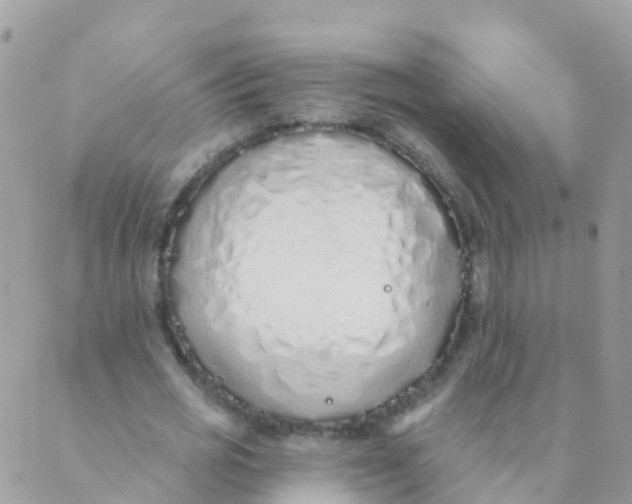 X0000089420725200707061318