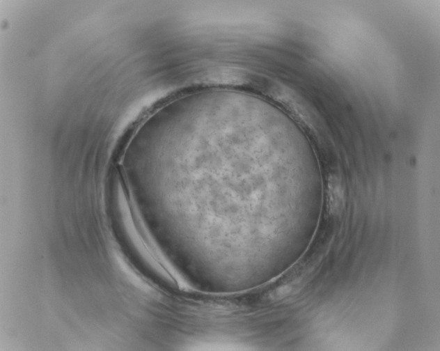 X0000089420726200707061318