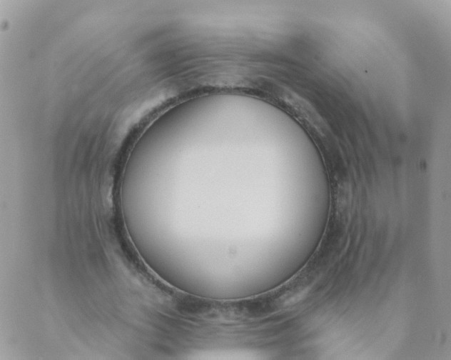 X0000089420727200707061318