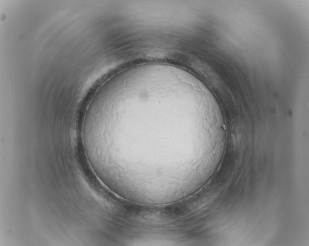 X0000089420728200707061318