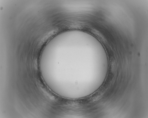 X0000089420729200707061318