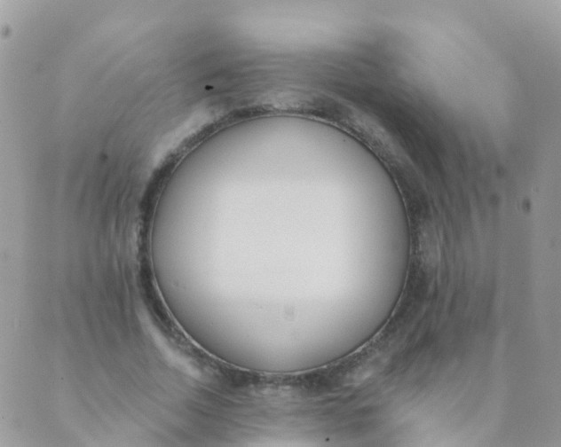 X0000089420730200707061318