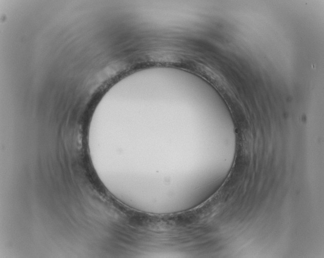 X0000089420731200707061318