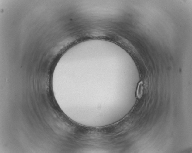 X0000089420732200707061318